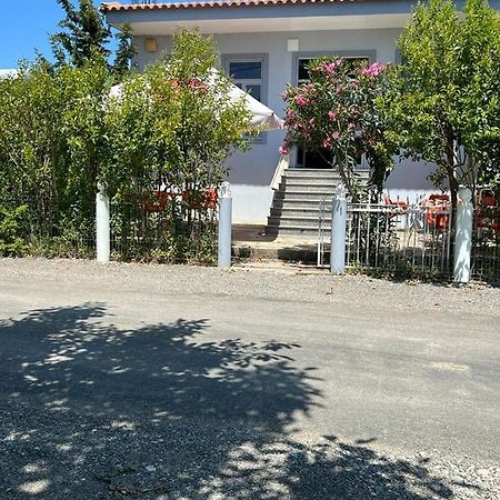 Guest House Andersoni Dhoma Plazhi Andersoni Shen Ded Gjoni 外观 照片